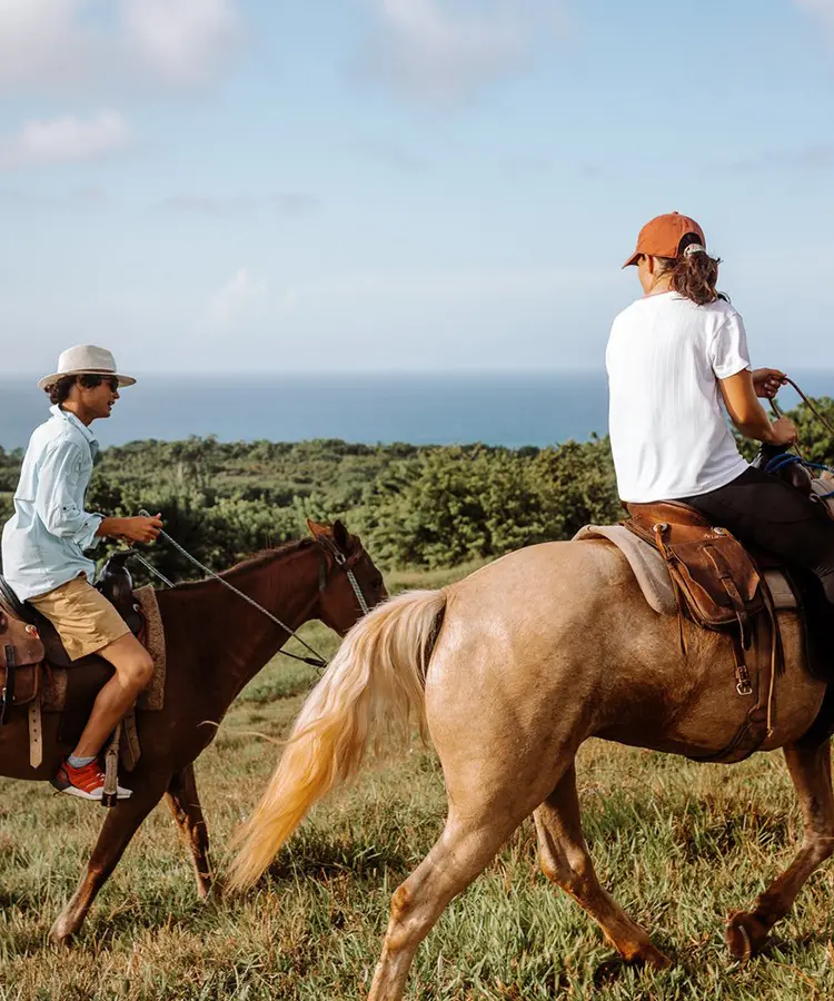 Two men riding horses in a field near the ocean.