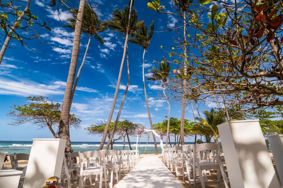 A beach wedding with white chairs and palm trees