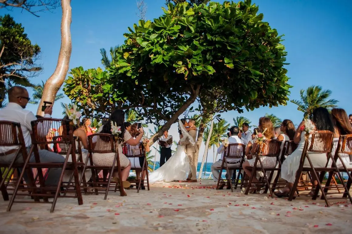 A group of people sitting in chairs under a tree.